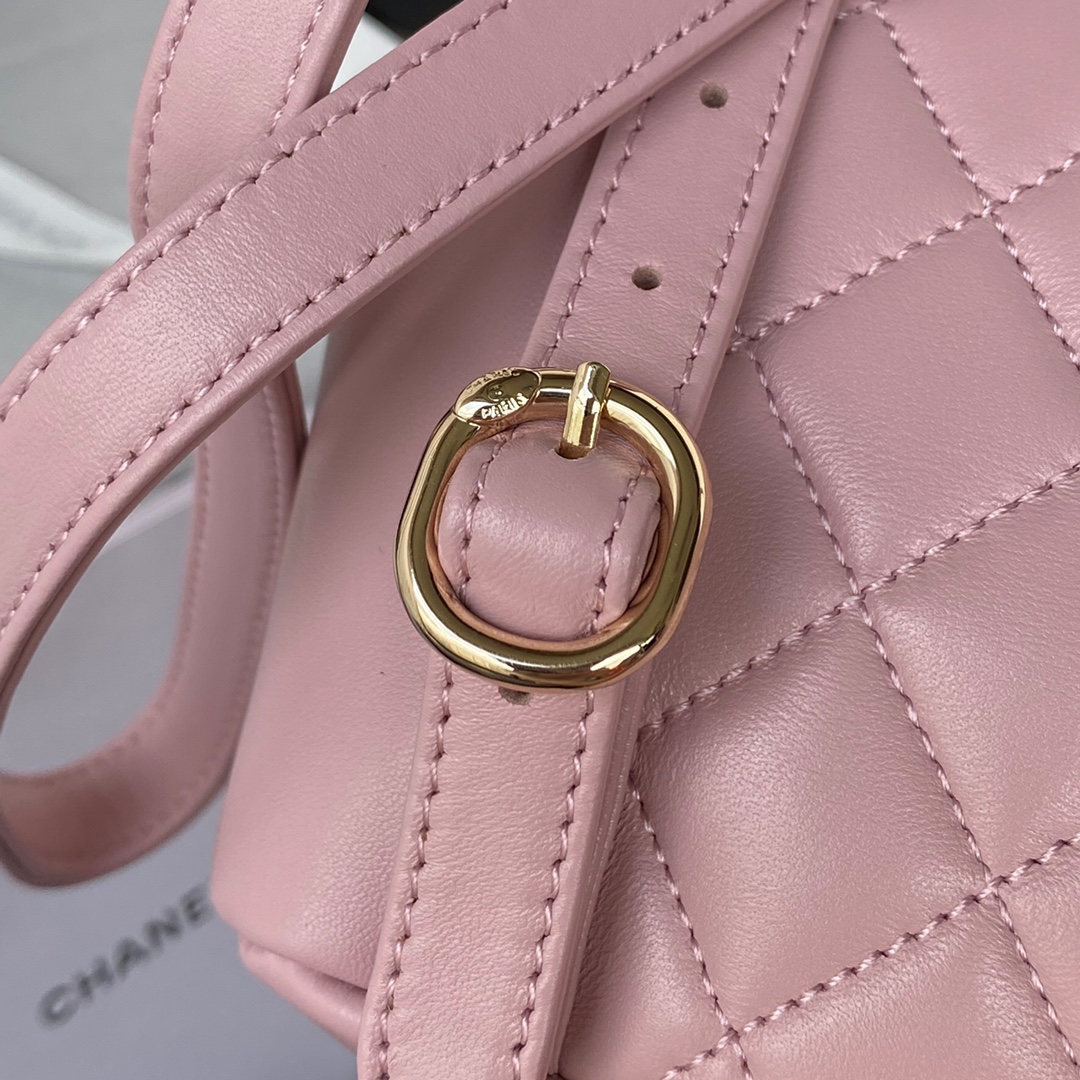 Lambskin Mini Backpack AS2908 Pink